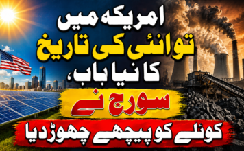 امریکہ میں توانائی کی تاریخ کا نیا باب، سورج نے کوئلے کو پیچھے چھوڑ دیا