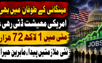 مہنگائی کے طوفان میں بھی امریکی معیشت ڈٹی رہی، مئی میں 1 لاکھ 72 ہزار نئی ملازمتیں پیدا، ماہرین حیرا