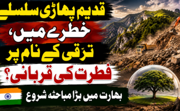 قدیم پہاڑی سلسلے خطرے میں، ترقی کے نام پر فطرت کی قربانی؟ بھارت میں بڑا مباحثہ شروع
