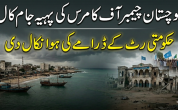 بلوچستان چیمبر آف کامرس کی پہیہ جام کال، حکومتی رٹ کے ڈرامے کی ہوا نکال دی
