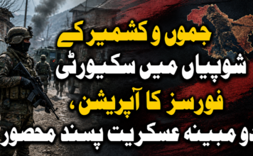 جموں و کشمیر کے شوپیاں میں سکیورٹی فورسز کا آپریشن، دو مبینہ عسکریت پسند محصور