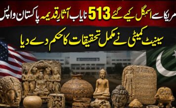 امریکا سے اسمگل کیے گئے 513 نایاب آثارِ قدیمہ پاکستان واپس، سینیٹ کمیٹی نے مکمل تحقیقات کا حکم دے دیا
