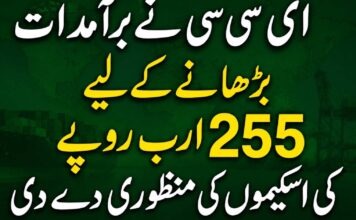 ای سی سی نے برآمدات بڑھانے کے لیے 255 ارب روپے کی اسکیموں کی منظوری دے دی
