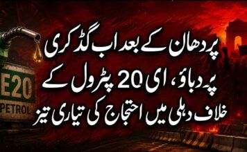 پردھان کے بعد اب گڈکری پر دباؤ، ای 20 پٹرول کے خلاف دہلی میں احتجاج کی تیاری تیز