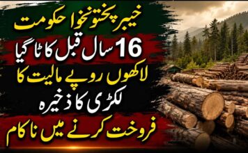 خیبر پختونخوا حکومت 16 سال قبل کاٹا گیا لاکھوں روپے مالیت کا لکڑی کا ذخیرہ فروخت کرنے میں ناکام