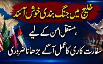 خلیج میں جنگ بندی خوش آئند ، مستقل امن کے لیے سفارت کاری کا عمل آگے بڑھانا ضروری