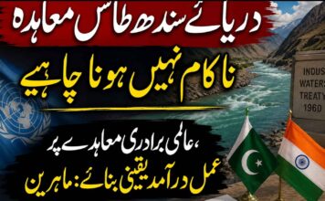 دریائے سندھ طاس معاہدہ ناکام نہیں ہونا چاہیے، عالمی برادری معاہدے پر عمل درآمد یقینی بنائے: ماہرین