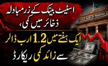 اسٹیٹ بینک کے زرمبادلہ ذخائر میں کمی، ایک ہفتے میں 1.2 ارب ڈالر سے زائد کمی ریکارڈ