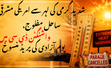 شدید گرمی کی لہر سے امریکی مشرقی ساحل مفلوج، واشنگٹن ڈی سی میں یومِ آزادی کی پریڈ منسوخ