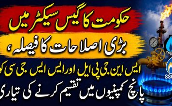 حکومت کا گیس سیکٹر میں بڑی اصلاحات کا فیصلہ، ایس این جی پی ایل اور ایس ایس جی سی کو پانچ کمپنیوں میں تقسیم کرنے کی تیاری