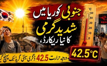 جنوبی کوریا میں شدید گرمی کا نیا ریکارڈ، درجہ حرارت 42.5 ڈگری سینٹی گریڈ تک پہنچ گیا