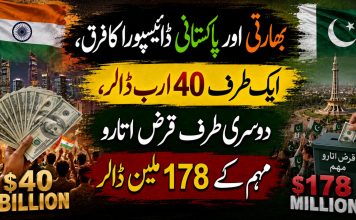 بھارتی اور پاکستانی ڈائیسپورا کا فرق، ایک طرف 40 ارب ڈالر، دوسری طرف قرض اتارو مہم کے 178 ملین ڈالر
