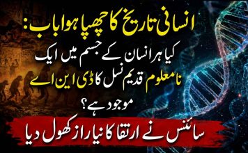 انسانی تاریخ کا چھپا ہوا باب: کیا ہر انسان کے جسم میں ایک نامعلوم قدیم نسل کا ڈی این اے موجود ہے؟ سائنس نے ارتقا کا نیا راز کھول دیا