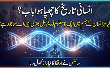 انسانی تاریخ کا چھپا ہوا باب: کیا ہر انسان کے جسم میں ایک نامعلوم قدیم نسل کا ڈی این اے موجود ہے؟ سائنس نے ارتقا کا نیا راز کھول دیا