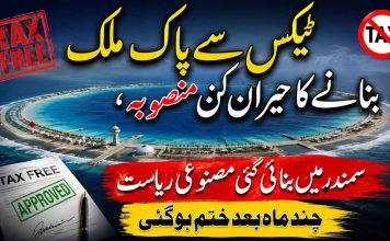ٹیکس سے پاک ملک بنانے کا حیران کن منصوبہ، سمندر میں بنائی گئی مصنوعی ریاست چند ماہ بعد ختم ہوگئی