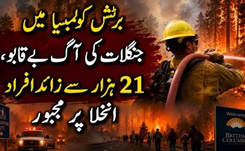 برٹش کولمبیا میں جنگلات کی آگ بے قابو، 21 ہزار سے زائد افراد انخلا پر مجبور