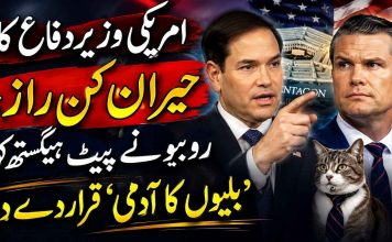امریکی وزیر دفاع کا حیران کن راز، روبیو نے پیٹ ہیگستھ کو ’بلیوں کا آدمی‘ قرار دے دیا
